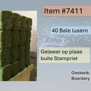 #7411 40 Bale Lusern