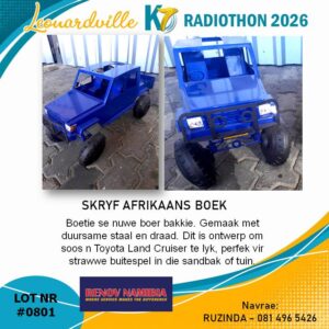 #0801 Blou Toyota D/C Bakkie