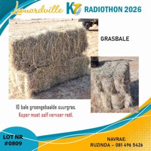 #0809 Grasbale