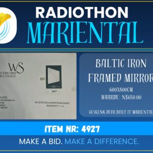 #4927 Baltic Iron Framed Mirror