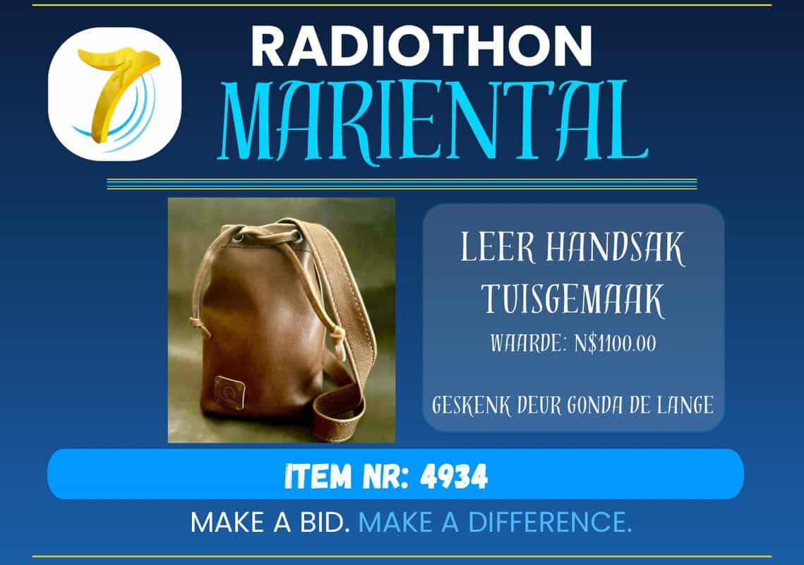 #4934 Leer Handsak