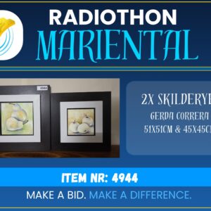 #4944 Skilderye 2x