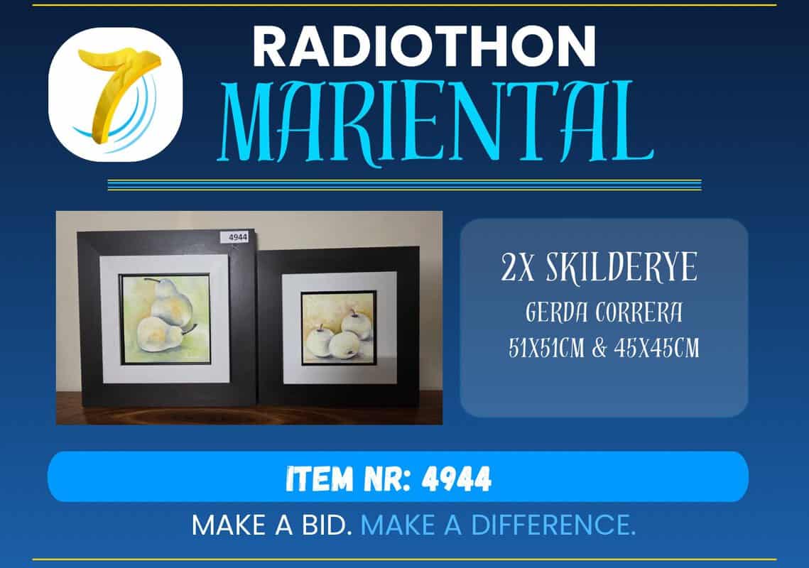 #4944 Skilderye 2x
