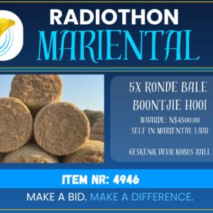 #4946 Ronde Bale Boontjie Hooi 50x