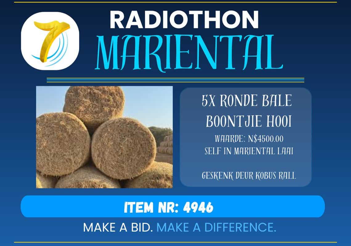#4946 Ronde Bale Boontjie Hooi 50x