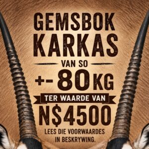 #0732 Gemsbok Karkas Waarde:4500