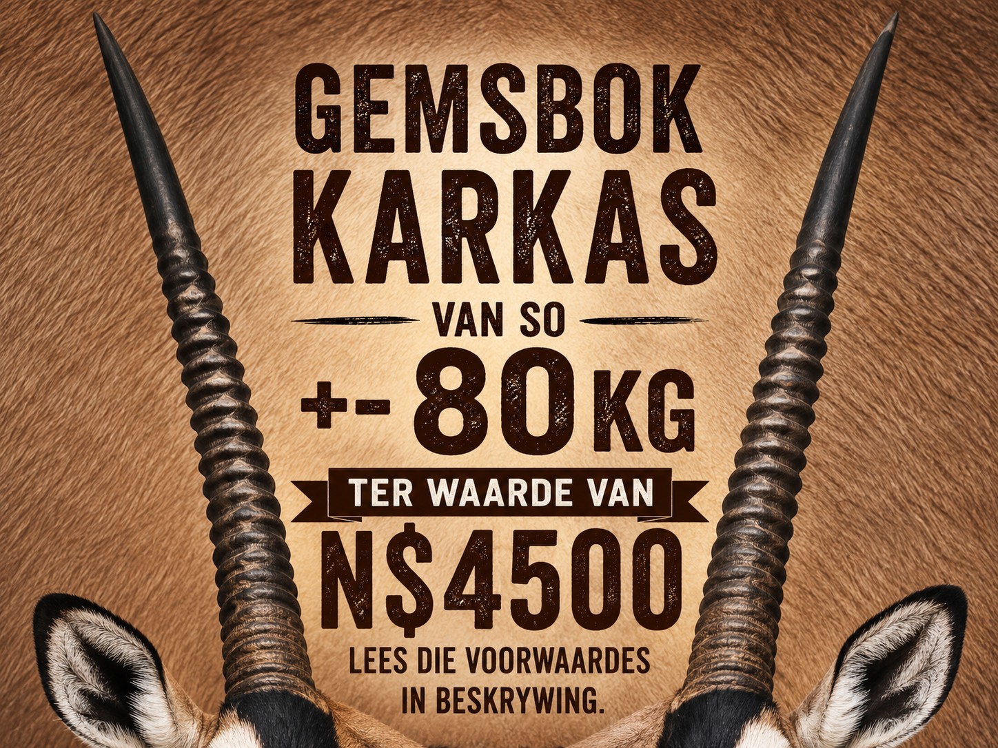#0732 Gemsbok Karkas Waarde:4500