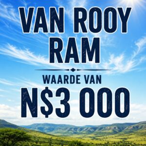 #5970 Van Rooy Ram – Kwaliteitsteeldier Waarde:N$3000