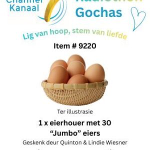 #9220 - 1 houer met 30 Jumbo hoendereiers