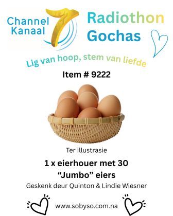 #9222 - 1 houer met 30 Jumbo hoendereiers