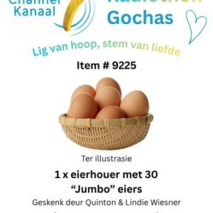 #9225 - 1 houer met 30 Jumbo hoendereiers
