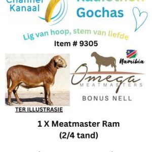 #9305 - MEATMASTER RAM -2/4 TAND - OMEGA MEATMASTERS