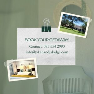 #8614 - 1 x King Room + breakfast