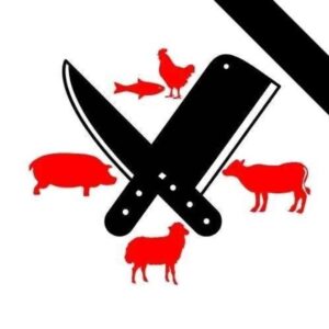 #0285 Almor Butchery- 1 x Skaap Afval Geskraap