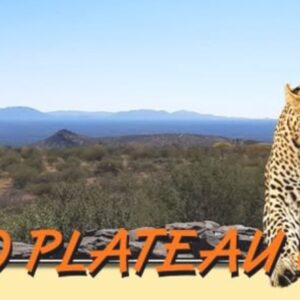 #0223 Akkommodasiepakket Erongo Plateau Camp Koopbewys Waarde:N$2080