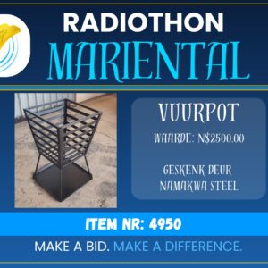 #4950 Vuurpot
