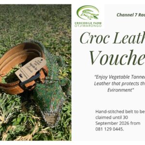 #5914 Handgestikte Leerband(belt) – Crocodile Farm Otjiwarongo Waarde:N$1850