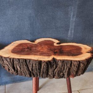 #5921 Boomstomp Tafel Waarde:N$1500