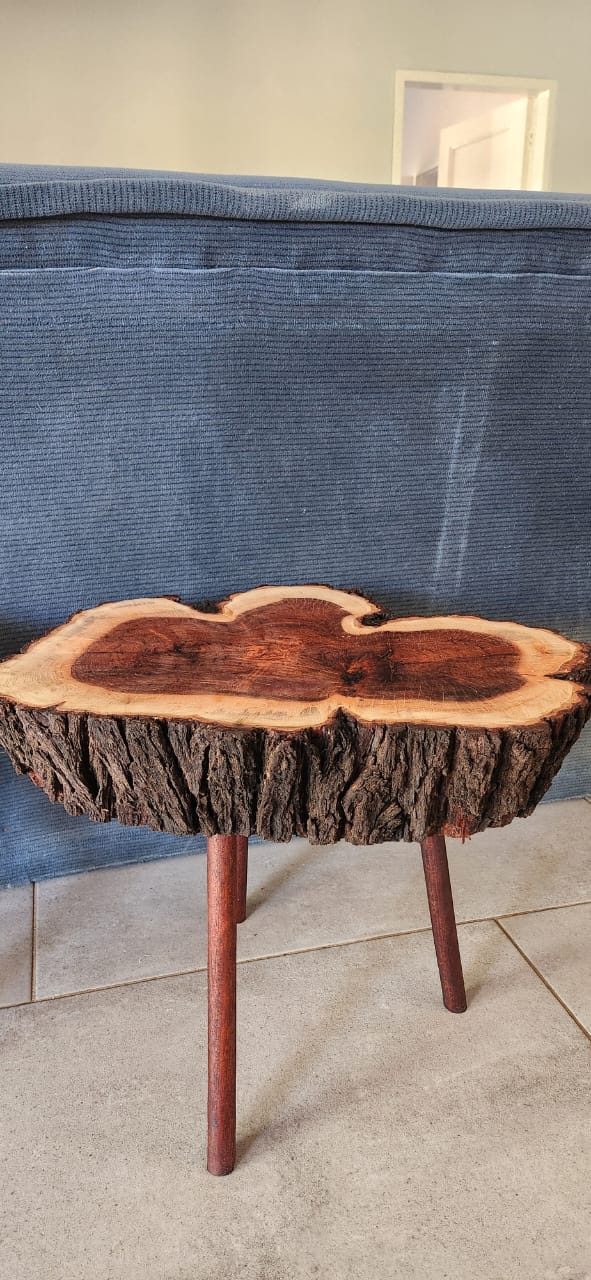 #5921 Boomstomp Tafel Waarde:N$1500