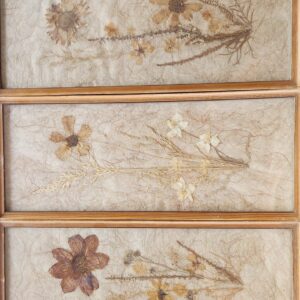 #5947 Stel van 3 Gedroogte Blomme en Sadekunswerke Waarde:N$500
