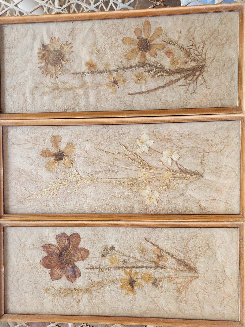 #5947 Stel van 3 Gedroogte Blomme en Sadekunswerke Waarde:N$500