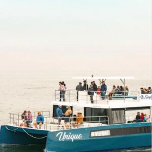 #7831 Dolphin / Catamaran Cruise vir 4 mense, Amazing 5 Tours