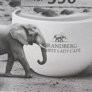 #2331 Brandberg White Lady Cafe