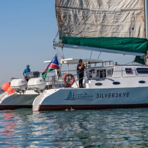 #8338 Dolphin and Seal Marine Cruise, Catamaran Charters