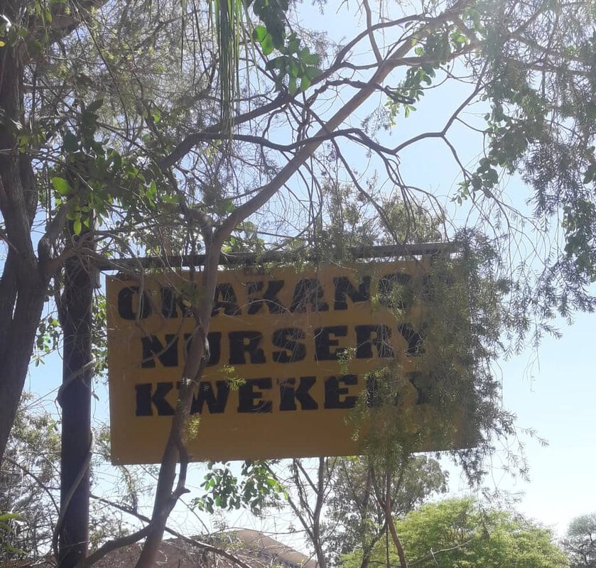 #8646 Okakango Gardens Vrugte Boom Kombinasie